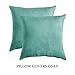MIULEE Velvet Throw Pillow Covers 20x20 Inch, Pack of 2 - Aqua Green, Soft Solid Decorative Pillow Covers Cushion Cases Modern Luxury Home Decor for Spring Couch Sofa Bedroom Livingroom