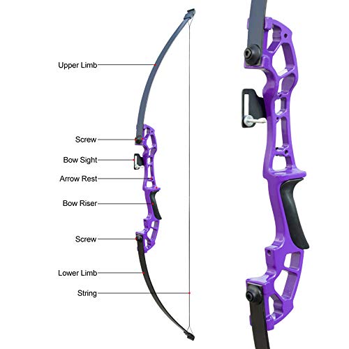 D&Q Archery 50" Takedown Bow And Arrows Set For Adults 30Lb 40Lb Metal Riser Right Hand Longbow Kit For Beginner To Intermediate Hunting Target(Purple, 40Lb) #TOP2