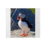 CafePress Atlantic Puffin Standing Throw Blanket Super Soft Fleece Plush Throw Blanket, 60'x50'