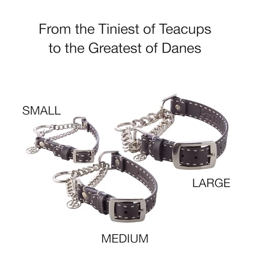 Pet Passion Rein Dog Collar Martingale, Dappled Cashmere, Large by Pet Passion - Image 5