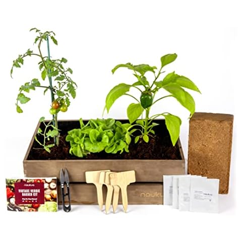 Kit de Cultivo Completo Naukua Mini Huerto Urbano Vintage Cover