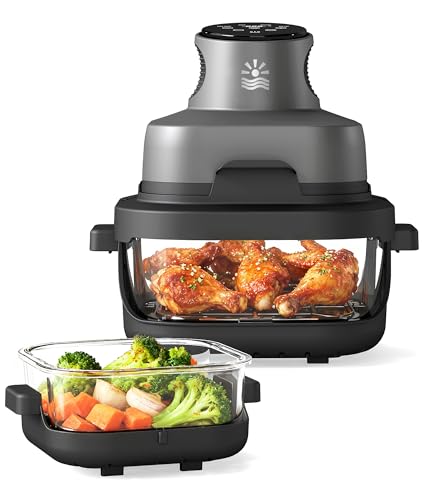 Oylus 4-in-1 Dual Glass Air Fryer