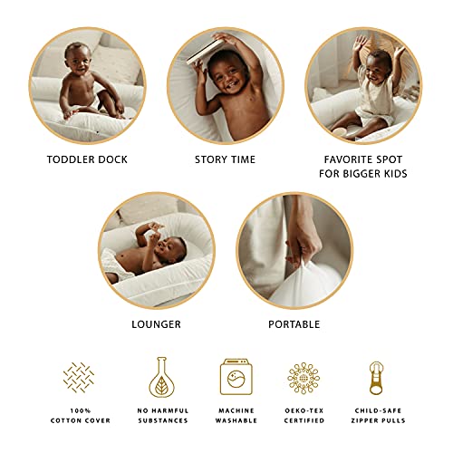 Top 10 Best infant incline sleeper Reviews NecoleBitchie