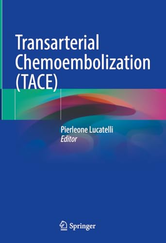 Transarterial Chemoembolization (TACE) view 2