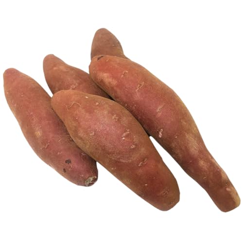 ふくむらさき 約5kg (茨城県共通返礼品/行方市) 2025年11月から発送開始 渋谷農園 さつまいも いも 芋 焼き芋 [DT003sa]