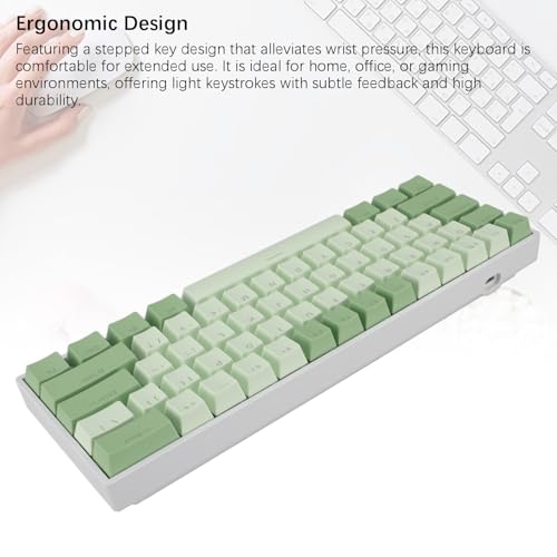 Teclado Mecánico 60% ASHATA4dwx1unkys USB cableado miniatura 3