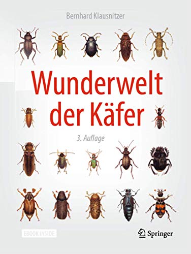 Preisvergleich Produktbild Wunderwelt der Käfer