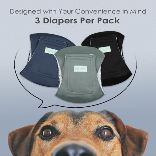 Image of wegreeco Washable Male Dog Belly Band (Stylish Pattern)- Pack of 3 - Washable Male Dog Belly Wrap, Dog Diapers Male (Blue, Green, Black, Large)
