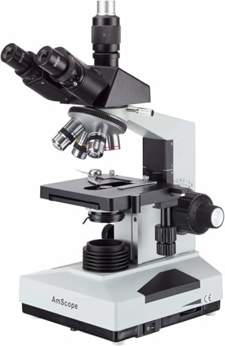 microscope