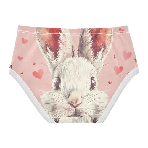 Cotton Toddler Underwear Custom Cute Rabbit Strawberry Pink Girl Panties Cute Colorful Underpants Briefs 2t2