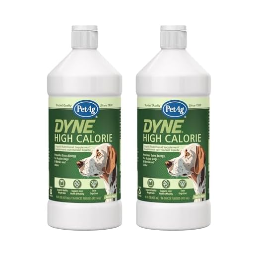 PetAg Dyne High Calorie Liquid Nutritional Supplement for Dogs and Puppies - with Multivitamins for Recovery and Nursing - Vanilla Flavor - 2 Pack of 16 fl oz Bottles