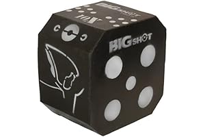 Big Shot Targets Archery Titan 10XS Broadhead Target