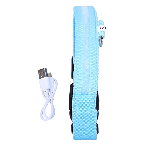 Coleira de cachorro de LED POPETPOP, coleiras personalizadas para cães, anel de animal de estimação