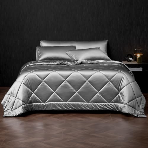 Dream Valley Outlast® Temperature Regulating Comforter Twin Size
