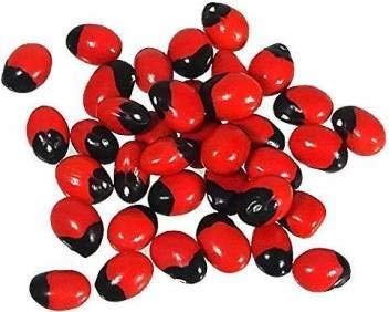 SAE Fashions Mantra Siddha Red Gunja Seeds, Kundrimani Beads for Lakshmi Upasana Sadhana, 51 Pieces-image-30