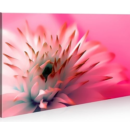 Cuadros Decorativos Salon Moderno Flores Marca islandburner