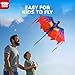 TOY Life 55.9'' Dragon Kites Easy to Fly for Kids Adults with 328.1 FT String, Beach Kite Outdoor Game Outside Toys Activity, Dragon Toys for Kids, Gift for Boys Ages 4-8