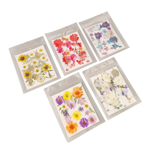 Jeffergarden Flores secas para resina y manualidades 5 bolsas miniatura 4