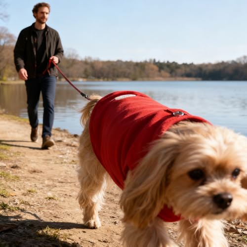 Image of 2Pack Fleece Dog Sweater Vest with Leash Ring Pullover Dog Clothes Sweaters for Small Dogs with Reflective Strip Puppy Clothes Sweater Soft Lightweight Jacket for Fall /Spring /Winter