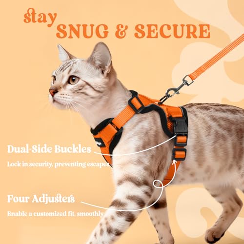 Image of rabbitgoo Cat Harness and Leash Set, Escape Proof Vest, Orange | Soft Breathable Mesh, Easy Adjustable Fit, Snap Buckles, Sturdy Clip, Reflective Strips, for Medium to Large Cats Walks, M