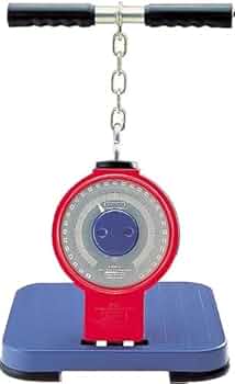 背筋力計 41BK4A7FMCL._AC_UF350,