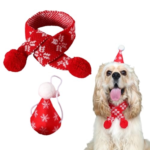 yCharming ClubzybgXq}t[Zbg jbg Lp NX}X 2_Zbg ΍ 킢 p Lp p[eB[ a j^ ^ (A5)