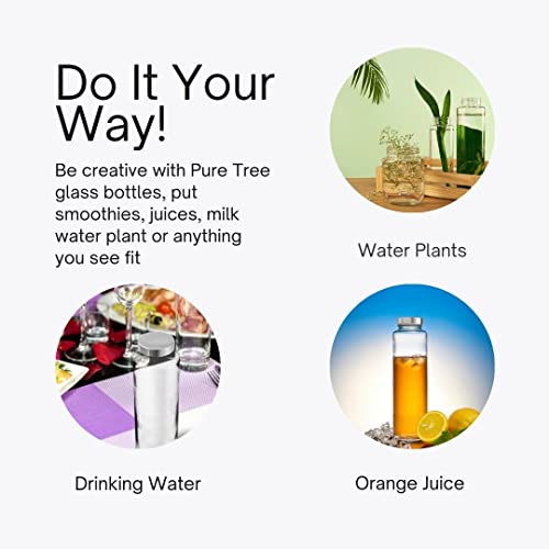 Image of Glass Water Bottle 750 ml with Screw Cap (Pack of 4) - BPA Free, Soda-Lime Glass Material