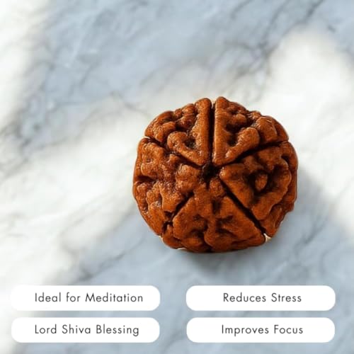Image of Certified 5 Mukhi Rudraksha Pendant | Original Panchmukhi Bead with Certificate | Natural Nepali Rudraksha for Men & Women | Spiritual Locket With Black Thread