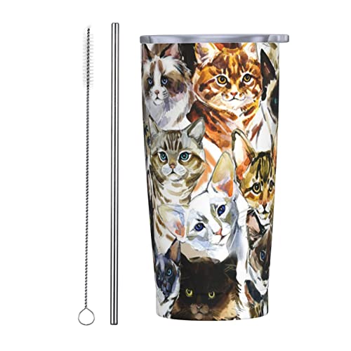 킢 L Xg[&Xg[uVt }OJbv R[q[Jbv 600ML RrjJbv ^u[ XeX ۗ ۉ ԗp Wt ^  e  Aj v[g ww31