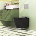 Wall Hung Toilet with Tank, DeerValley In-Wall Toilet Combo Set and Carrier System, Wall Mounted Toilet with Soft Closing Seat 1.1GPF/1.6 GPF Dual Flush (Black, 14.4 * 17.3)
