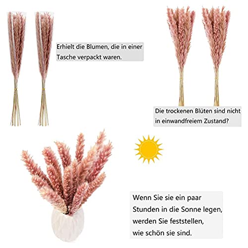 Kastma Flores secas e secas, decoração de buquê natural, 15 peças, flores secas, flores artificiais,