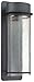 The Great Outdoors (72253-66) Artisan Lane 2 Light Outdoor Wall Mount