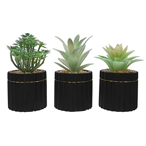 TOPBATHY 3 Piezas Suculentas Simuladas Grandes Suculentas Artificiales Macetas Decoración De Cactus Artificial De Interior Planta Falsa Grande Plantas Artificiales De Interior Planta Falsa