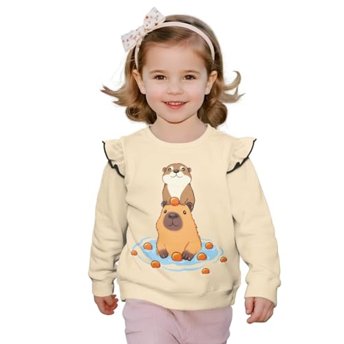 Long Sleeve Tops for Girls Toddler Girl Sweatshirt Suit Fall Spring