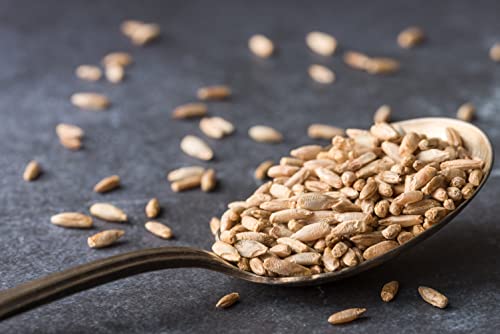 100% Organic Rye Berries, Non-Gmo, Kosher, Raw, Bulk Seeds, Product Of The Usa (10 Lb) #TOP3