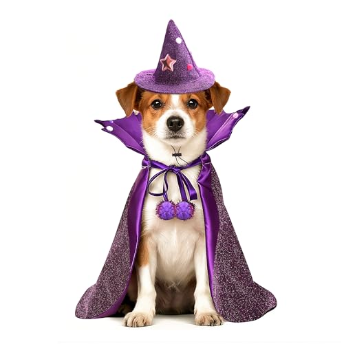 Disfraz de Bruja para Perros y Gatos Halloween con Capa y Sombrero