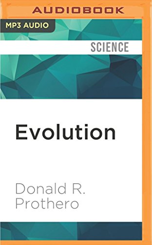 Evolution view 2