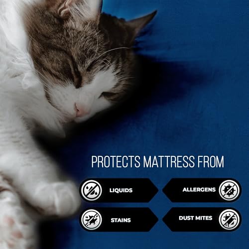 Image of Waterproof and Dustproof Terry Cotton Mattress Protector - 78 X 72 Inches, King Size, Blue