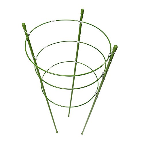 45 Cm De Long Tomates Vert Lys Anneaux De Support Pour Fleurs Pivoines En Fer Lot De 3 Piquets De Support Pour Plantes Roses Tuteurs Pour Plantes