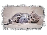 3D Wandtattoo Baby Katze Tier Kätzchen klein Ball spielend Tapete Wand Aufkleber Wanddurchbruch sticker selbstklebend Wandbild Wandsticker Wohnzimmer 11P1075, Wandbild Größe F:ca. 97cmx57cm