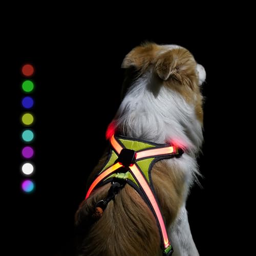 Light Up Dog Harness Type-C Rechargeable LED Dog Harness with RGB Multi-Colour Lighting Mode & 500mAh Battery, 500m Visible Waterproof Glow in The Dark Safety Vest for Night Walking, Avoid Accident XL