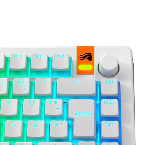 Glorious Gaming - GPBT Aura RGB : Pudding-Style-, Double-Shot PBT, lichtdurchlässig, für mechanische 100%-, 75%-, 65%- und 60%-Spezialtastaturen, Weiß, Deutsche QWERTZ-Belegung