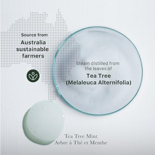 Good&All Tea Tree Conditioner for Dry Itchy Scalp with Peppermint - Sulfate/Sulphate, Silicone, Paraben, Fragrance Free - Anti Frizz - 400ml - Image 7