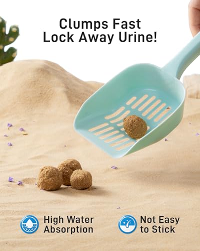 Image of BUCATSTATE Hamster Sand, No-Dust 6.6LB Chinchilla Dust Bath with Pour Spout, 100% Natural Desert Bathing Sand for Syrian Hamster Gerbil Rat Mice Small Animals (Flower Smell)