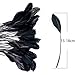 FEARAFTS Natural Black Feathers for Hats Making Fascinators Decoration Stripped Coque Feather Pack of 50 (Black)