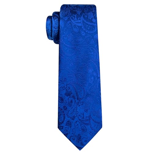 Image of Barry.Wang Paisley Tie for Men Silk Woven Necktie and Tie Clip Set Wedding Party Business Formal
