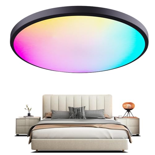 Lampe de plafond à décharge pour cuisine et commerce : luminaire LED avec variateur de lumière