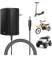 24V Ladegerät Für Kinder-Elektroautos - Mit LED-Anzeige Für Spielzeugfahrzeuge