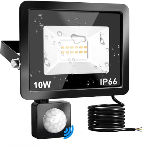 Phlbao LED Strahler mit Bewegungsmelder, 10W 1000LM, IP65 Wasserdicht, 6500K Kaltweiß, Außenleuchte für Garten, Innenhöfe, Garage