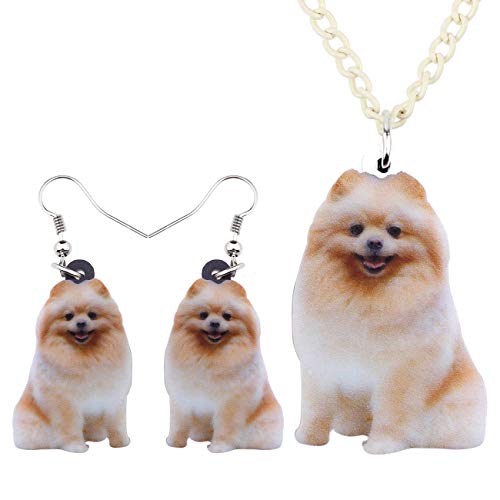Joyas acrílicas para perros DUOWEI ideales para paseos diarios